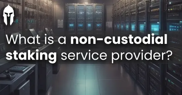 What is a non-custodial staking service provider?